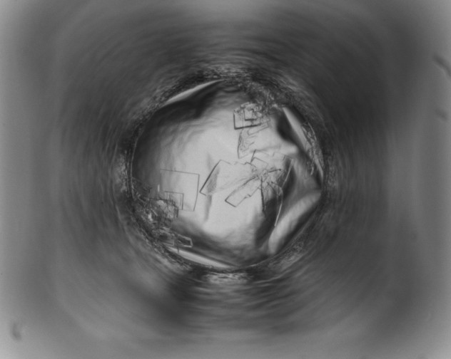 X0000100490465200806271241