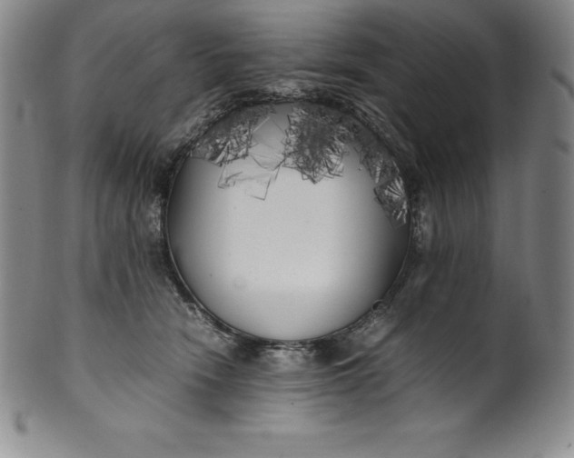 X0000100490466200806271241