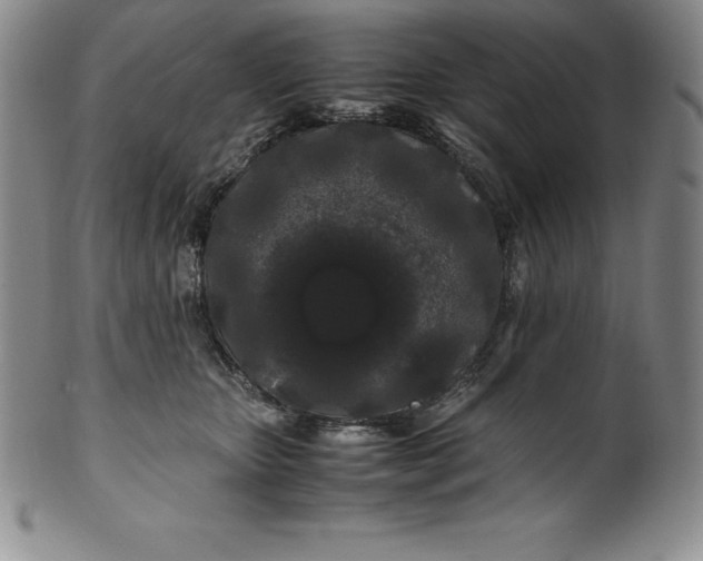 X0000100490467200806271241