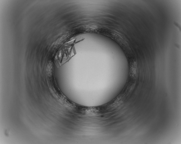 X0000100490468200806271241