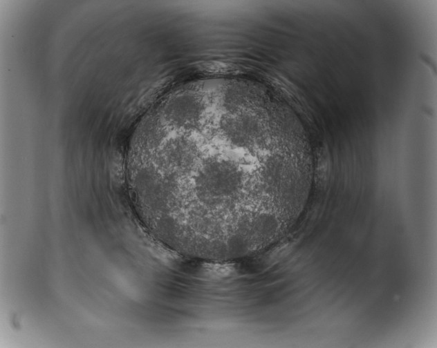 X0000100490469200806271241