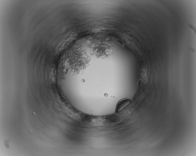 X0000100490470200806271241