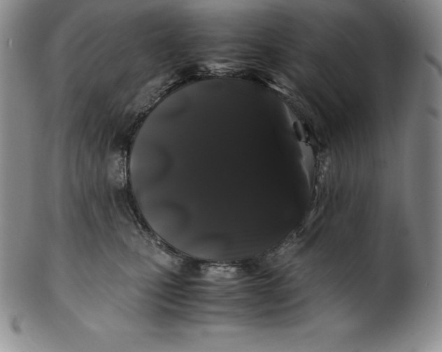 X0000100490471200806271241