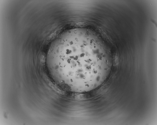 X0000100490472200806271241