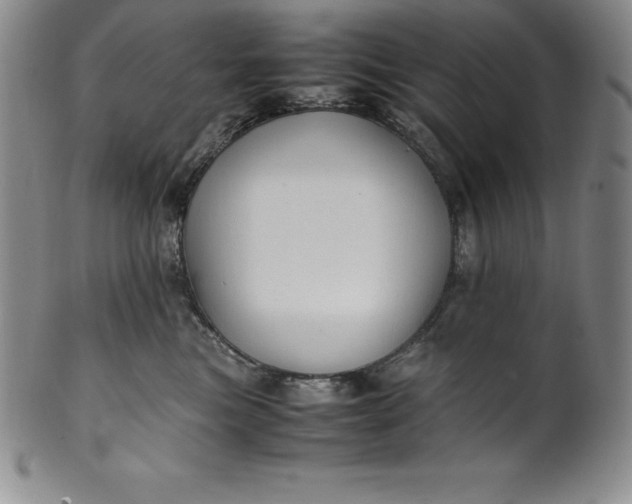 X0000100490473200806271241