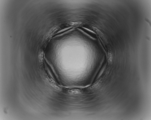 X0000100490475200806271241