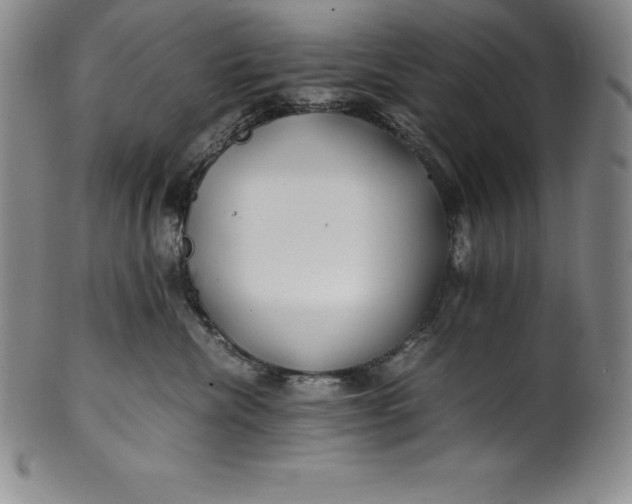 X0000100490476200806271241