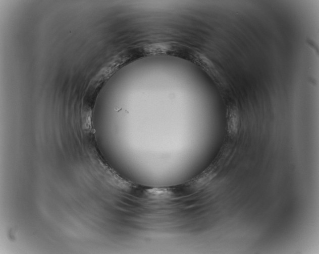 X0000100490477200806271241