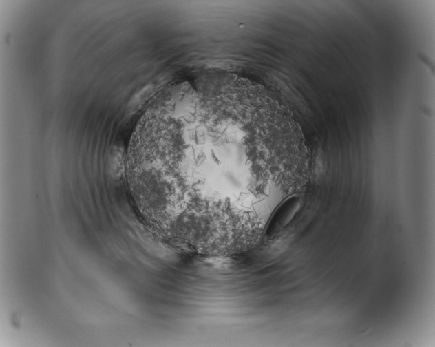 X0000100490478200806271241