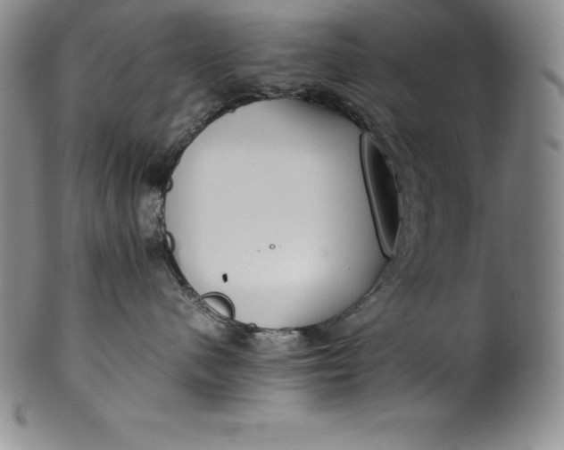 X0000100490480200806271241