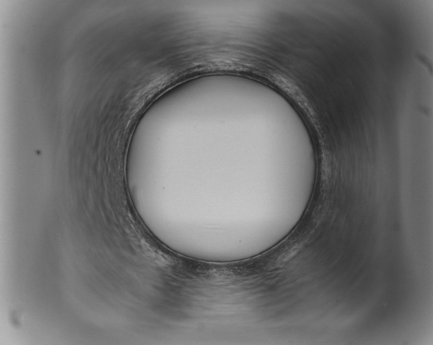 X0000100490481200806271240