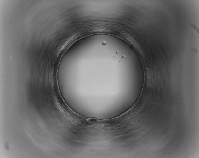 X0000100490482200806271240