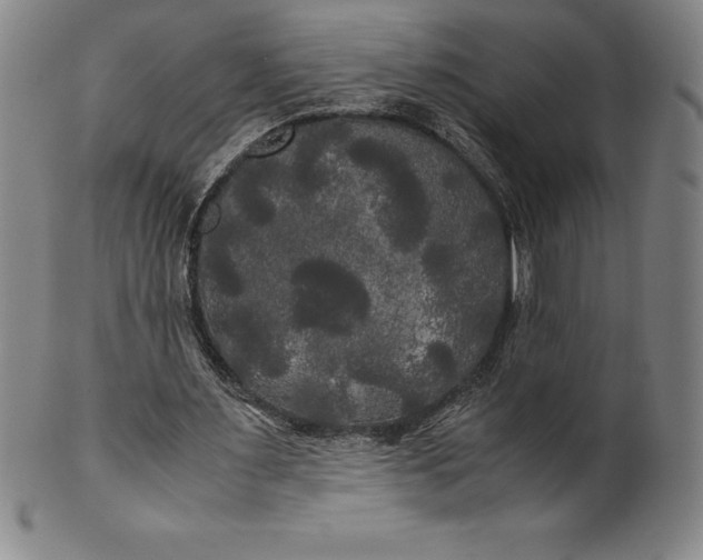 X0000100490483200806271240