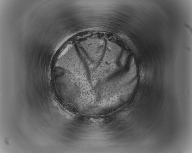 X0000100490484200806271240