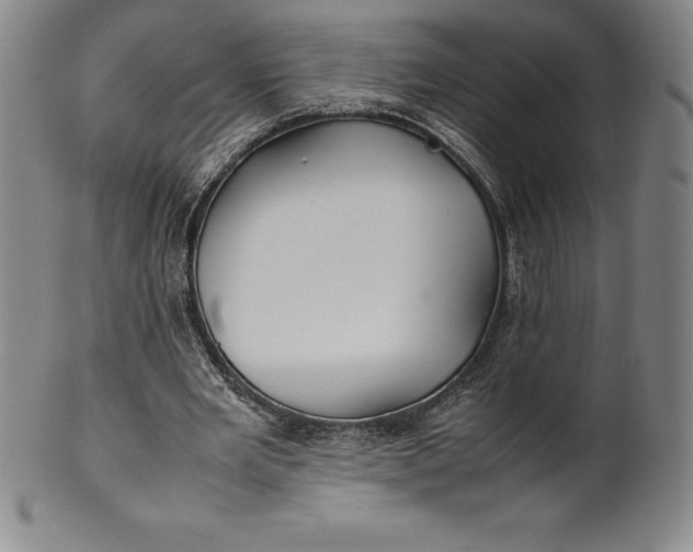 X0000100490485200806271240