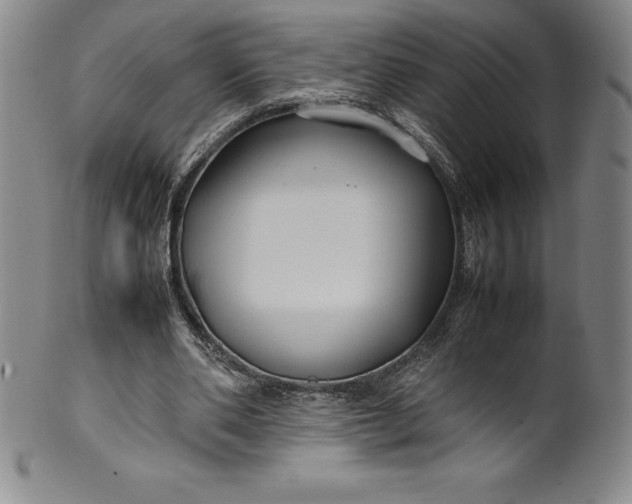 X0000100490486200806271240