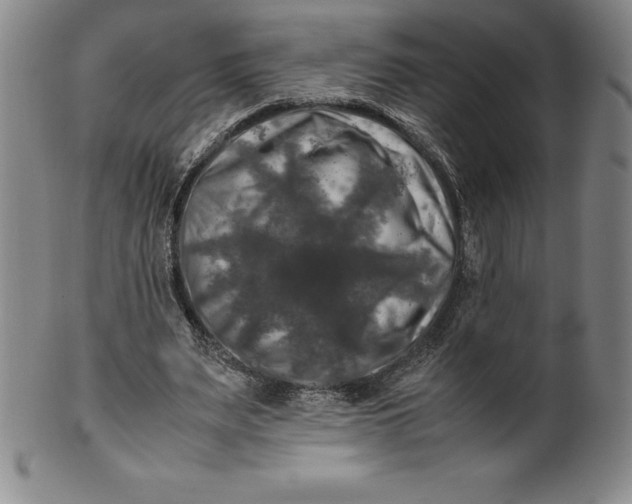 X0000100490487200806271240