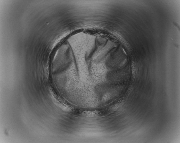 X0000100490488200806271240