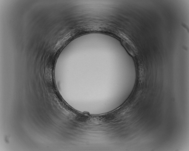 X0000100490489200806271240