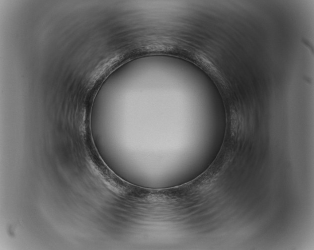 X0000100490490200806271240