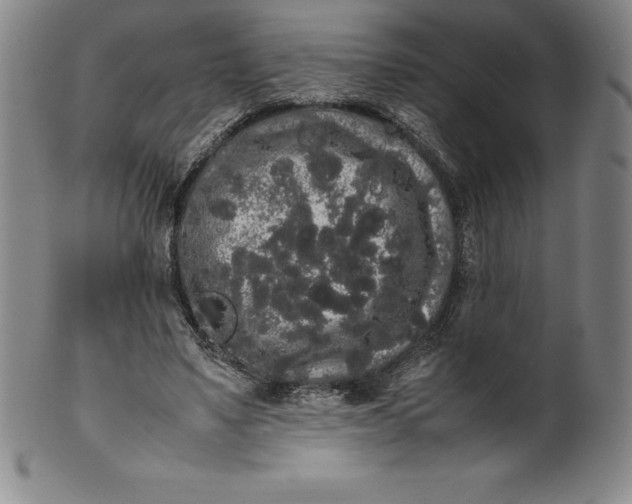 X0000100490491200806271240