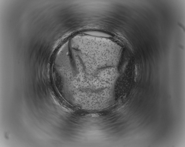 X0000100490492200806271240