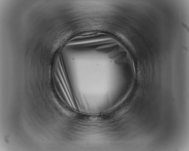 X0000100490493200806271240