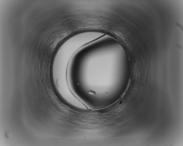 X0000100490495200806271240