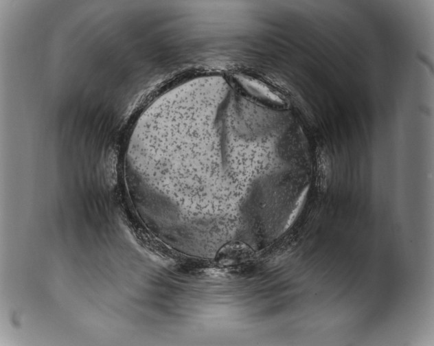 X0000100490496200806271240