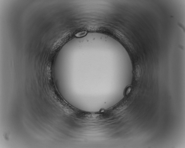 X0000100490497200806271240