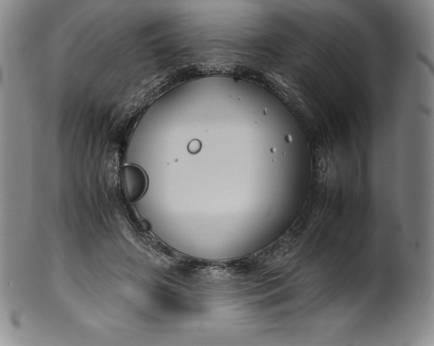 X0000100490498200806271240