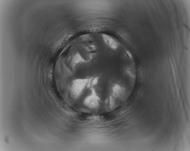 X0000100490499200806271240