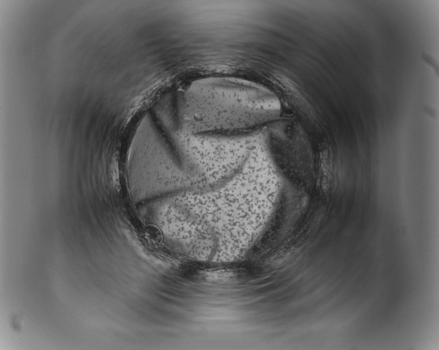 X0000100490500200806271240