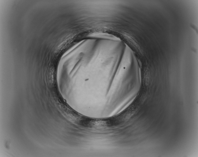 X0000100490501200806271240