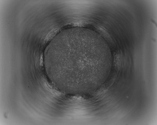 X0000100490502200806271240