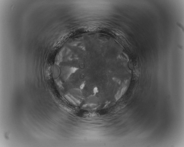 X0000100490503200806271240