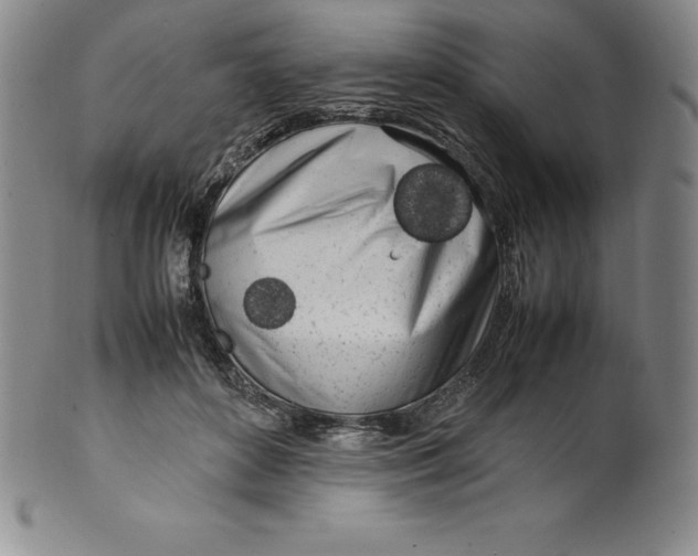 X0000100490504200806271240