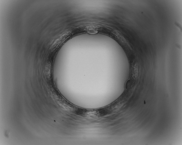 X0000100490505200806271240