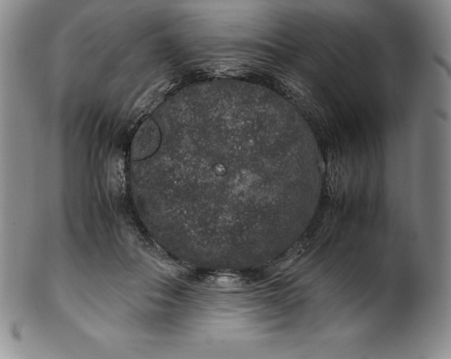 X0000100490506200806271240