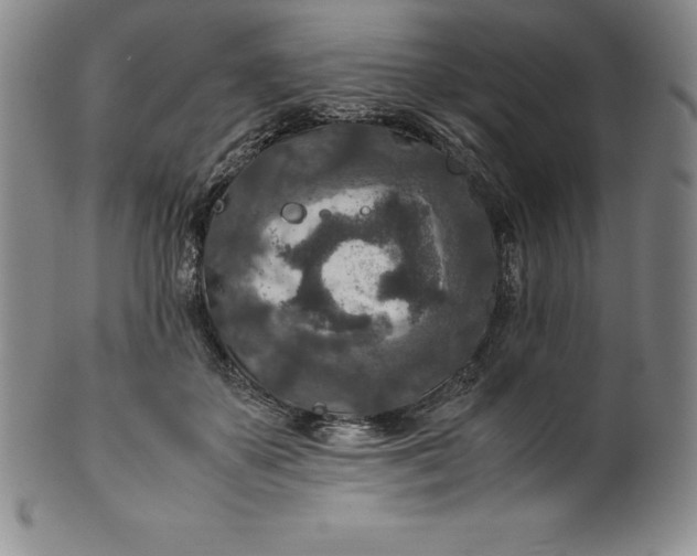 X0000100490507200806271240