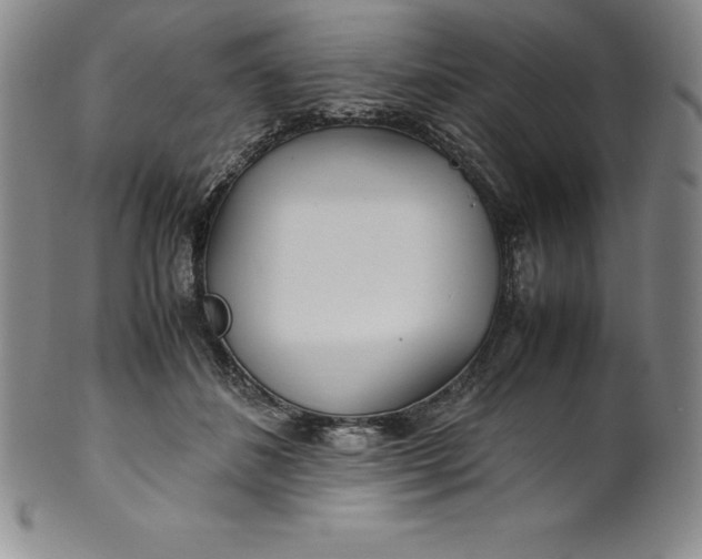 X0000100490508200806271240