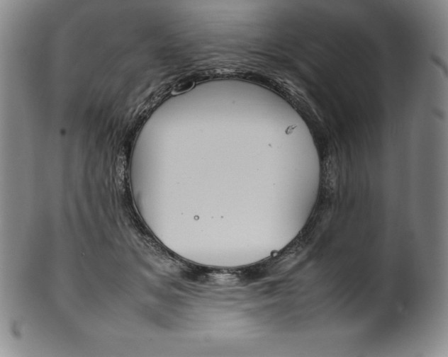 X0000100490509200806271240