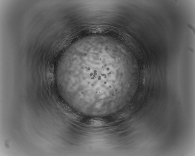 X0000100490510200806271240