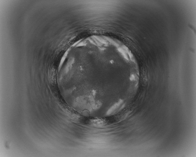 X0000100490511200806271240