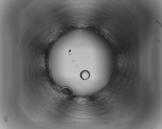 X0000100490512200806271240