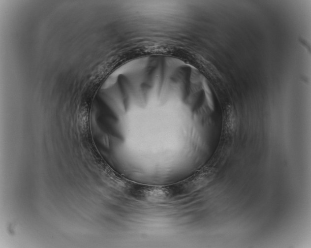 X0000100490513200806271240