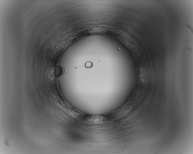 X0000100490514200806271240