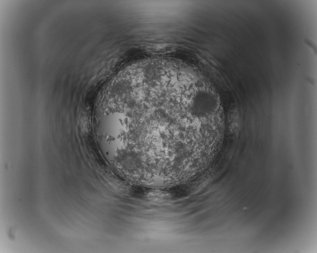 X0000100490515200806271240