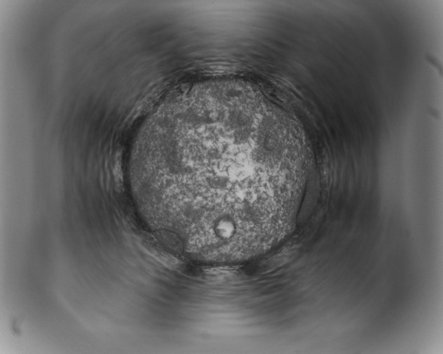 X0000100490516200806271240