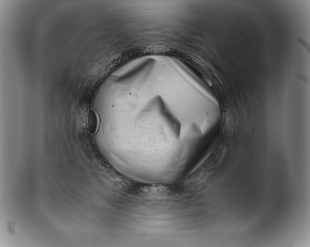 X0000100490517200806271240